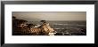 Cliff Along The Sea, Seven Mile Beach, California, Usa by Panoramic Images Limited Edition Print