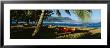 Catamaran On The Beach, Hanalei Bay, Kauai, Hawaii, Usa by Panoramic Images Limited Edition Pricing Art Print