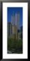 World Trade Center, New York, Usa by Panoramic Images Limited Edition Print