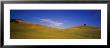 Trees On A Hill, Colusa County, California, Usa by Panoramic Images Limited Edition Pricing Art Print