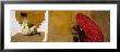 Two Women Painting On A Wall, Khuri, Thar Desert, Jaisalmer, Rajasthan, India by Panoramic Images Limited Edition Pricing Art Print
