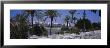 Sidewalk Cafe At The Riverside, Guadalquivir River, Seville, Spain by Panoramic Images Limited Edition Print