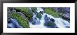 Waterfall Flowing Over Mossy Rocks, Periodic Spring, Bridger-Teton National Forest, Wyoming, Usa by Panoramic Images Limited Edition Print