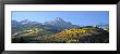 Vegetation On Mountains, Mount Sneffels, Uncompahgre National Forest, Colorado, Usa by Panoramic Images Limited Edition Print