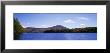 Pond And Tree Covered With Flowers, Molly's Falls Pond, Vermont, Usa by Panoramic Images Limited Edition Print