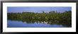 Flock Of Flamingos, J.N. Ding Darling National Wildlife Refuge, Sanibel Island, Florida, Usa by Panoramic Images Limited Edition Pricing Art Print