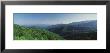 Fog Over A Forest, Great Smoky Mountain National Park, North Carolina, Usa by Panoramic Images Limited Edition Pricing Art Print