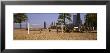 Group Of People Playing Beach Volleyball, Chicago, Illinois, Usa by Panoramic Images Limited Edition Pricing Art Print