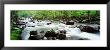 Water Flowing Over Rocks, Little Pigeon River, Great Smoky Mountains National Park, Tennessee, Usa by Panoramic Images Limited Edition Print