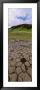 Cobblestone And Water In The Landscape, Kirkiubaeiarklaustur, Iceland by Panoramic Images Limited Edition Print