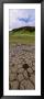 Cobblestone And Water In The Landscape, Kirkiubaeiarklaustur, Iceland by Panoramic Images Limited Edition Print