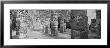 Group Of 1,000 Columns, Chichen Itza, Yucatan, Mexico by Panoramic Images Limited Edition Print