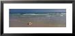 Shell On The Beach, Gulf Of Mexico, Alabama, Usa by Panoramic Images Limited Edition Pricing Art Print
