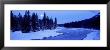 Moon Rising Above The Forest, Banff National Park, Alberta, Canada by Panoramic Images Limited Edition Print