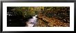 Buttermilk Creek, Ithaca, New York State, Usa by Panoramic Images Limited Edition Pricing Art Print