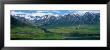 Denali National Park, Alaska, Usa by Panoramic Images Limited Edition Pricing Art Print