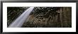 Water Flowing From The Cliff, Svartifoss Waterfall, Skaftafell National Park, Iceland by Panoramic Images Limited Edition Print