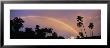 Rainbow Between Palm Trees At Dusk, French Polynesia by Panoramic Images Limited Edition Print