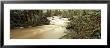 Stream Flowing Through A Forest, Eskdale Stream, Lake District National Park, Cumbria, England, Uk by Panoramic Images Limited Edition Print