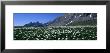Flowers Growing On A Field, French Riviera, France by Panoramic Images Limited Edition Print
