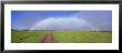 Rainbow Over A Landscape, Kamuela, Big Island, Hawaii, Usa by Panoramic Images Limited Edition Print