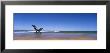 Empty Chair On The Lake Side, Lake Michigan, Grand Haven, Michigan, Usa by Panoramic Images Limited Edition Print