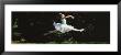 Side Profile Of A Female Ballet Dancer by Panoramic Images Limited Edition Print