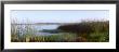 Pond, Half Moon Bay, California, Usa by Panoramic Images Limited Edition Pricing Art Print
