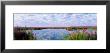 Montezuma National Wildlife Refuge, New York State, Usa by Panoramic Images Limited Edition Pricing Art Print