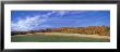 Fields, Aspens, Quebec, Canada by Panoramic Images Limited Edition Print