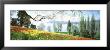 Lake Constance, Insel Mainau, Germany by Panoramic Images Limited Edition Print
