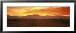 Sunset, Napa Valley, California, Usa by Panoramic Images Limited Edition Print