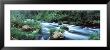Burney Creek, Mcarthur Burney Falls Memorial State Park, California, Usa by Panoramic Images Limited Edition Print