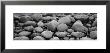 Close-Up Of Rocks, Acadia National Park, Maine, Usa by Panoramic Images Limited Edition Pricing Art Print