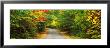 Road, White Mountain Forest, New Hampshire, Usa by Panoramic Images Limited Edition Pricing Art Print