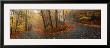 Winding Road Through Mountainside In Autumn, Monadnock Mountain, New Hampshire, Usa by Panoramic Images Limited Edition Print