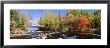 Trees Near A River, Bog River, New York State, Usa by Panoramic Images Limited Edition Print