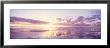 Sunrise On Beach, North Sea, Germany by Panoramic Images Limited Edition Pricing Art Print