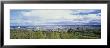 High Angle View Of A Harbor, Lake Superior, Duluth, Minnesota, Usa by Panoramic Images Limited Edition Print