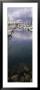 Boats Docked At A Harbor, San Pedro, California, Usa by Panoramic Images Limited Edition Print