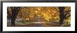 Road, Baltimore County, Maryland, Usa by Panoramic Images Limited Edition Pricing Art Print