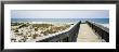 Boardwalk, Bon Secour National Wildlife Refuge, Alabama, Usa by Panoramic Images Limited Edition Print