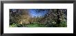 Bare Trees Along A Walkway, Canary Wharf, Tower Hamlets, London, England, United Kingdom by Panoramic Images Limited Edition Print