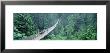 Capilano Bridge, Suspended Walk, Vancouver, British Columbia, Canada by Panoramic Images Limited Edition Print