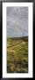 High Angle View Of A Road Passing Through A Landscape, Route 87, Arizona, Usa by Panoramic Images Limited Edition Pricing Art Print