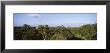 Old Temple In The Forest, Tikal, Guatemala by Panoramic Images Limited Edition Print