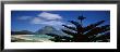 Panoramic View Of A Coastline, Lord Howe Island, Australia by Panoramic Images Limited Edition Print