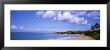 Gringo Beach, Island Of Vieques, Puerto Rico by Panoramic Images Limited Edition Pricing Art Print