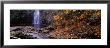 Water Falling Into A Pool, Falling Foss, North York Moors, North Yorkshire, England, United Kingdom by Panoramic Images Limited Edition Pricing Art Print