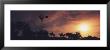 Sunset, Cowboys, Texas, Usa by Panoramic Images Limited Edition Pricing Art Print